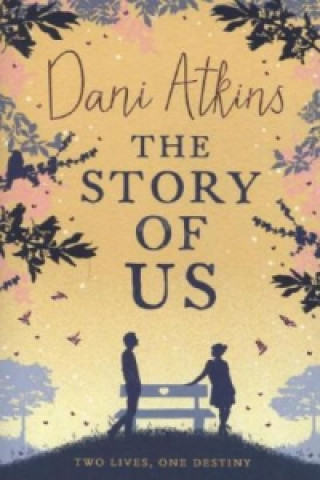 Kniha Story Of Us Dani Atkins
