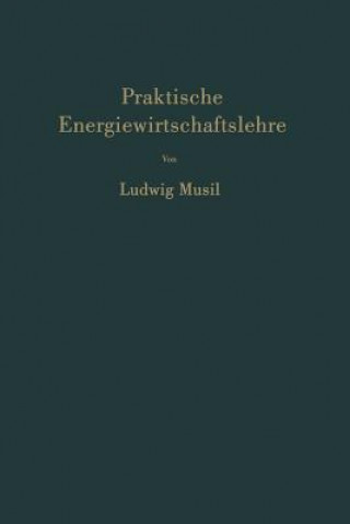Könyv Praktische Energiewirtschaftslehre Ludwig Musil