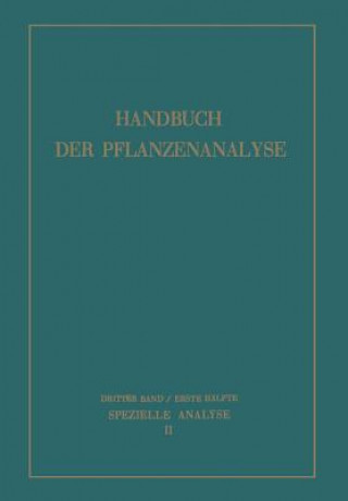 Kniha Spezielle Analyse M. Bergmann