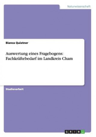 Kniha Auswertung eines Fragebogens Bianca Quixtner