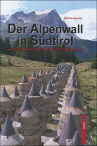 Kniha Der Alpenwall in Südtirol Rolf Hentzschel
