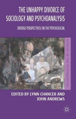 Kniha Unhappy Divorce of Sociology and Psychoanalysis Lynn Chancer