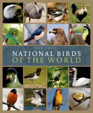 Książka National Birds of the World Ron Toft