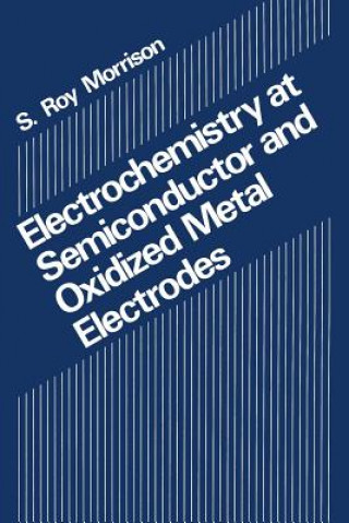 Kniha Electrochemistry at Semiconductor and Oxidized Metal Electrodes S.R. Morrison