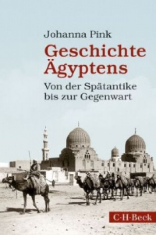 Kniha Geschichte Ägyptens Johanna Pink