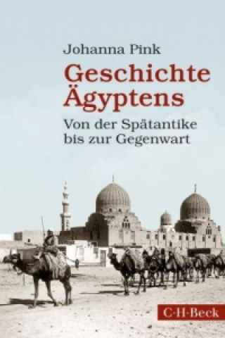 Könyv Geschichte Ägyptens Johanna Pink