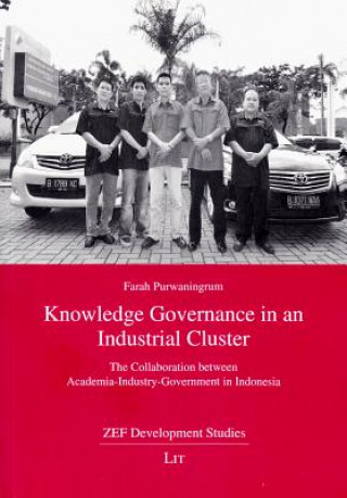 Könyv Knowledge Governance in an Industrial Cluster Farah Purwaningrum