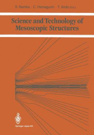 Kniha Science and Technology of Mesoscopic Structures Susumu Namba