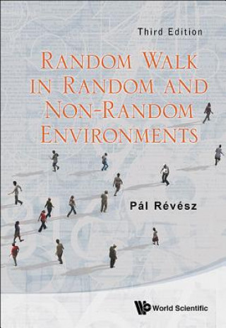 Książka Random Walk In Random And Non-random Environments (Third Edition) Pal Revesz