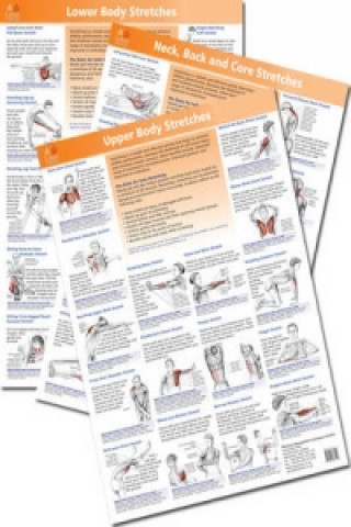 Carte Anatomy of Stretching Posters 