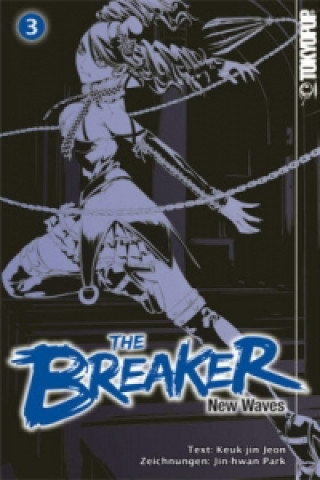 Kniha The Breaker - New Waves 03. Bd.3 Jin-Hwan Park
