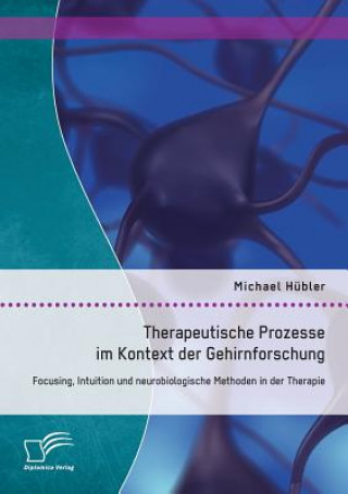 Kniha Therapeutische Prozesse im Kontext der Gehirnforschung Michael Hübler