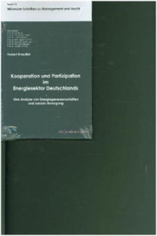 Könyv Kooperation und Partizipation im Energiesektor Deutschlands Hubert Kneußel