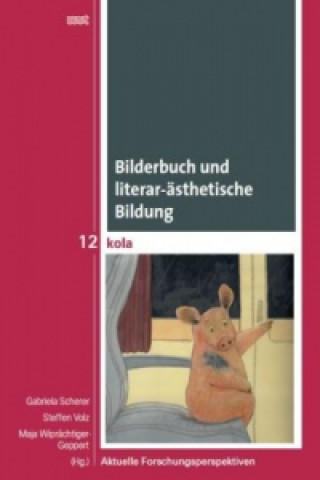 Könyv Bilderbuch und literar-ästhetische Bildung Gabriela Scherer