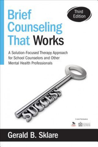 Kniha Brief Counseling That Works Gerald B Sklare