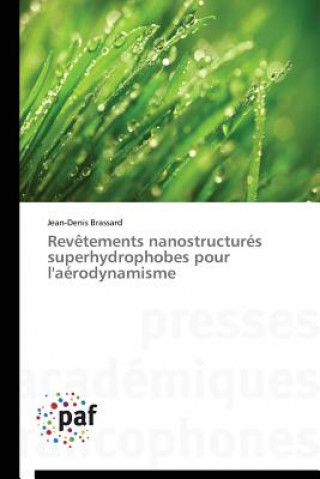 Carte Revetements Nanostructures Superhydrophobes Pour l'Aerodynamisme Jean-Denis Brassard