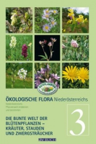 Kniha Ökologische Flora Niederösterreichs. Bd.3 Wolfgang Holzner