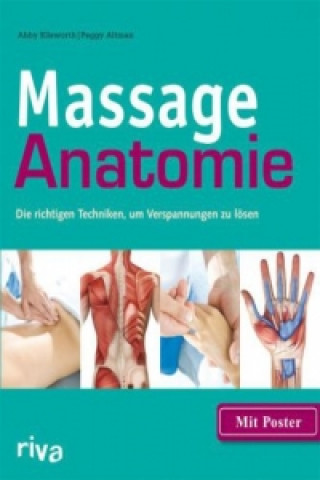 Kniha Massage-Anatomie, m. Poster Abby Ellsworth