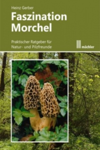 Book Faszination Morchel Heinz Gerber