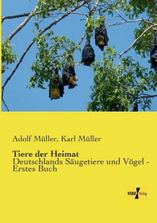 Buch Tiere der Heimat Adolf Müller