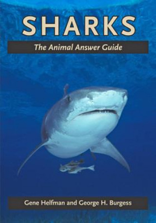 Könyv Sharks Gene Helfman