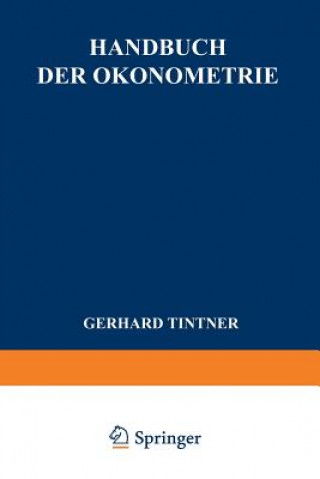 Livre Handbuch Der OEkonometrie G. Tintner