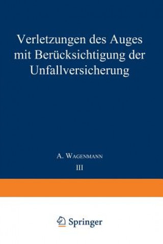 Könyv Verletzungen Des Auges Mit Berucksichtigung Der Unfallversicherung A. Wagenmann