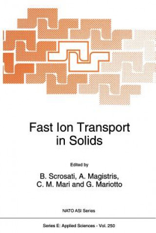 Libro Fast Ion Transport in Solids Bruno Scrosati