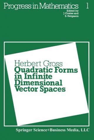 Knjiga Quadratic Forms in Infinite Dimensional Vector Spaces H. Gross