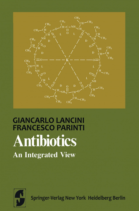 Kniha Antibiotics Giancarlo Lancini