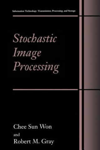Libro Stochastic Image Processing hee Sun Won