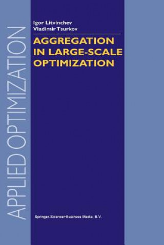 Buch Aggregation in Large-Scale Optimization I. Litvinchev