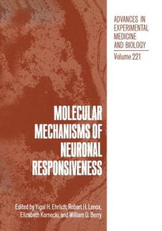 Kniha Molecular Mechanisms of Neuronal Responsiveness Yigal H. Ehrlich