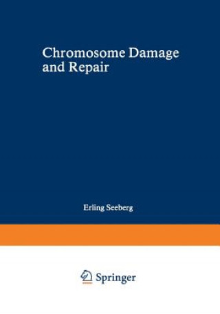 Książka Chromosome Damage and Repair Erling Seeberg