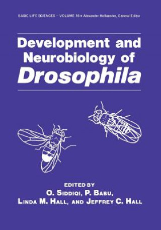 Könyv Development and Neurobiology of Drosophila O. Siddiqi