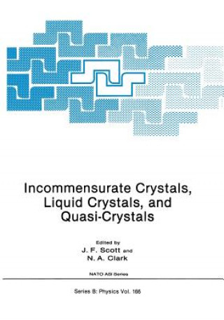 Buch Incommensurate Crystals, Liquid Crystals, and Quasi-Crystals J.F. Scott