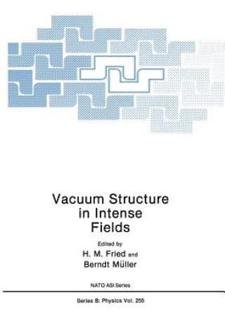 Knjiga Vacuum Structure in Intense Fields H.M. Fried