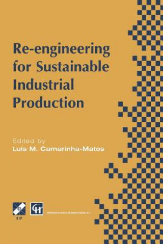 Könyv Re-engineering for Sustainable Industrial Production, 1 Luis M. Camarinha-Matos