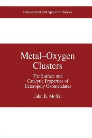 Könyv Metal-Oxygen Clusters John B. Moffat
