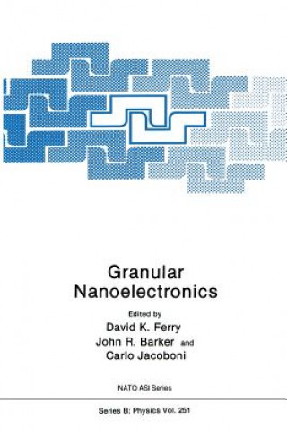 Carte Granular Nanoelectronics, 1 David Ferry