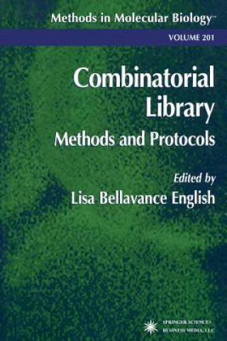 Könyv Combinatorial Library Lisa B. English