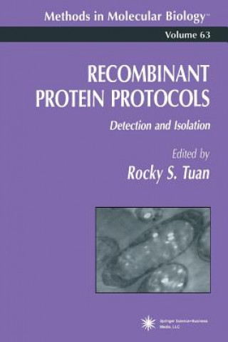 Könyv Recombinant Protein Protocols Rocky S. Tuan