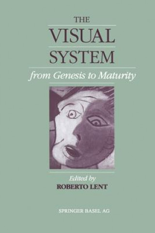 Книга Visual System from Genesis to Maturity ENT