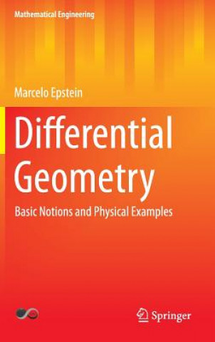 Книга Differential Geometry Marcelo Epstein