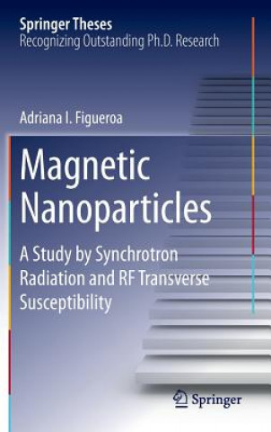 Knjiga Magnetic Nanoparticles Adriana I. Figueroa