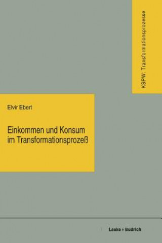 Könyv Einkommen Und Konsum Im Transformationsproze Elvir Ebert