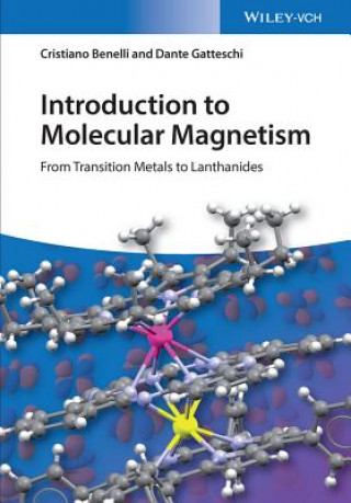 Książka Introduction to Molecular Magnetism - From Transition Metals to Lanthanides Dante Gatteschi