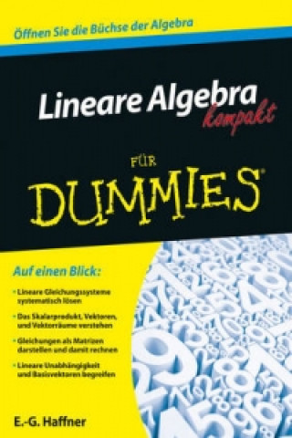 Kniha Lineare Algebra kompakt fur Dummies E.-G. Haffner