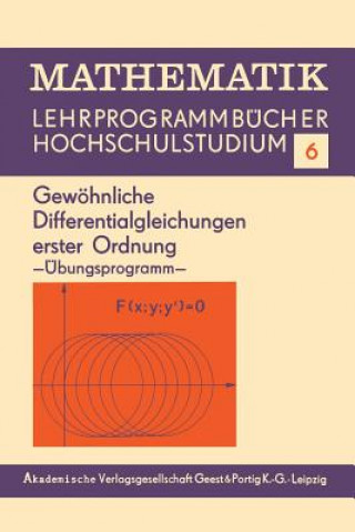 Buch Gewoehnliche Differentialgleichungen Erster Ordnung Edith Berane