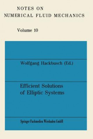 Kniha Efficient Solutions of Elliptic Systems Wolfgang Hackbusch